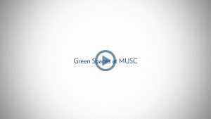 A videos showcasing green spaces at MUSC