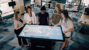Students engage with Sectra Table